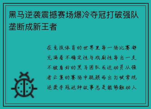 黑马逆袭震撼赛场爆冷夺冠打破强队垄断成新王者